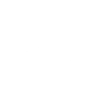 Western Didital